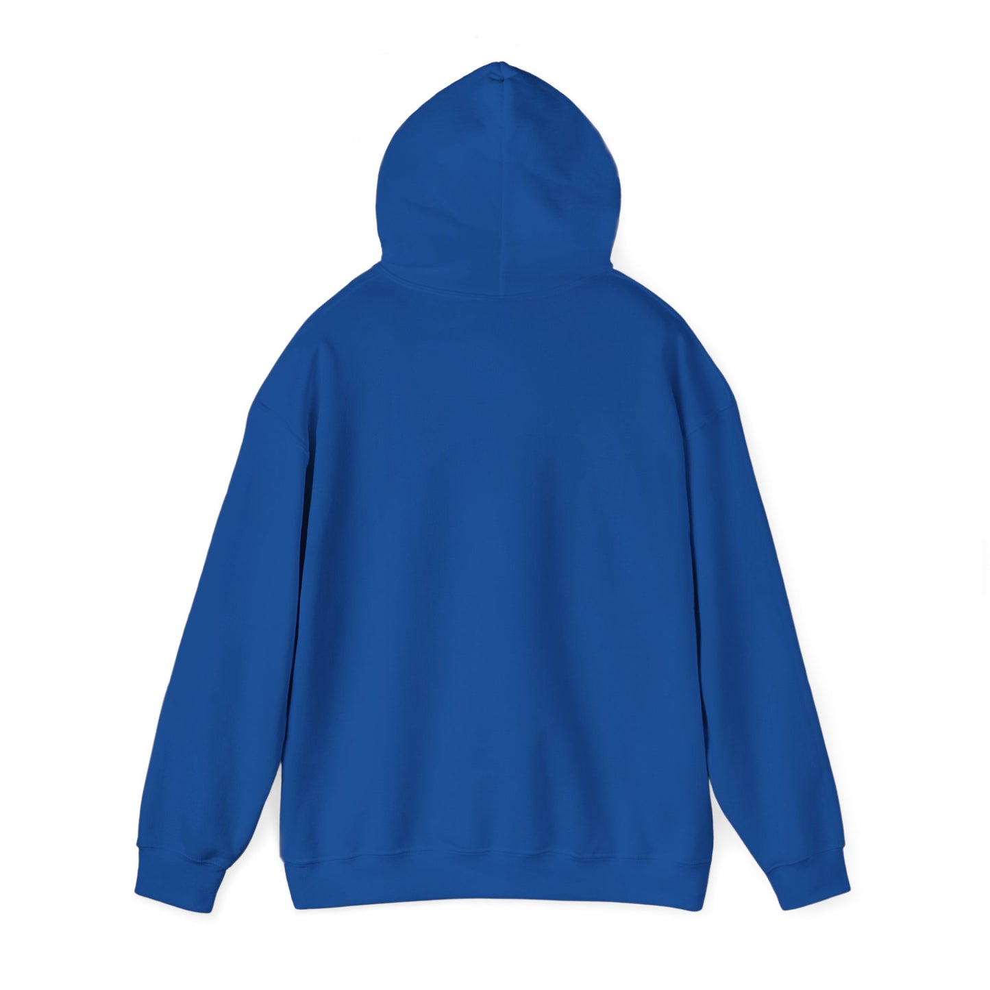 RC3 Hooded Sweatshirt
