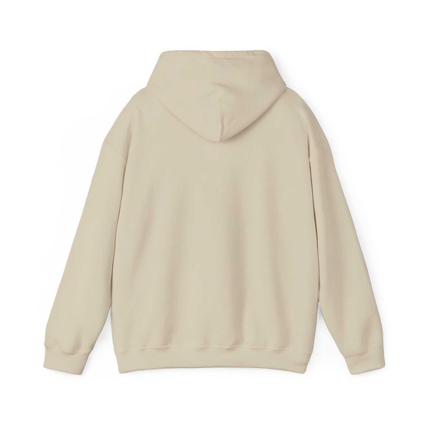 RC3 Hooded Sweatshirt
