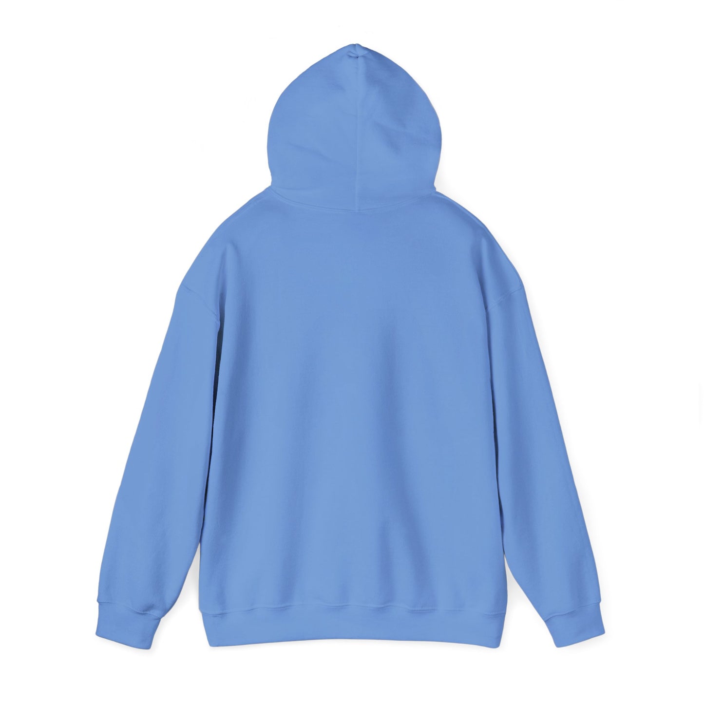 RC3 Hooded Sweatshirt