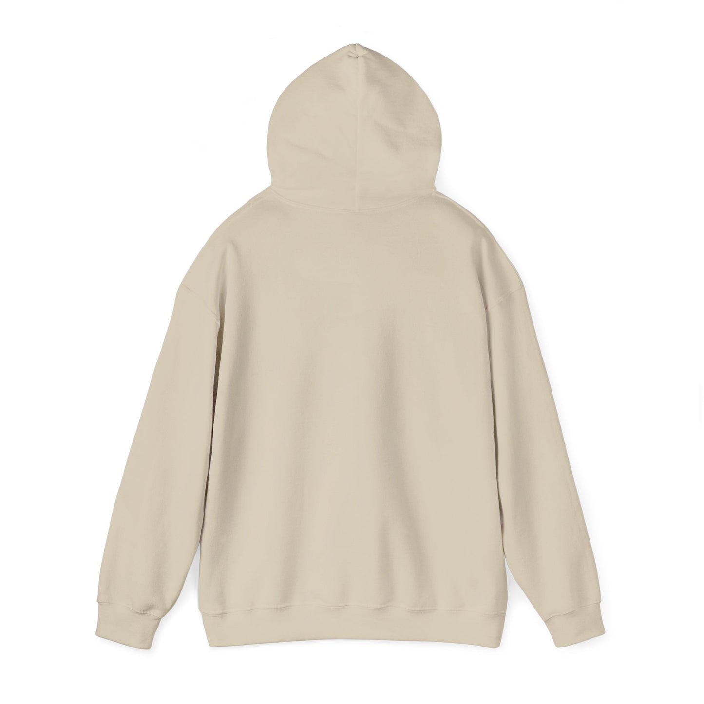 RC3 Hooded Sweatshirt