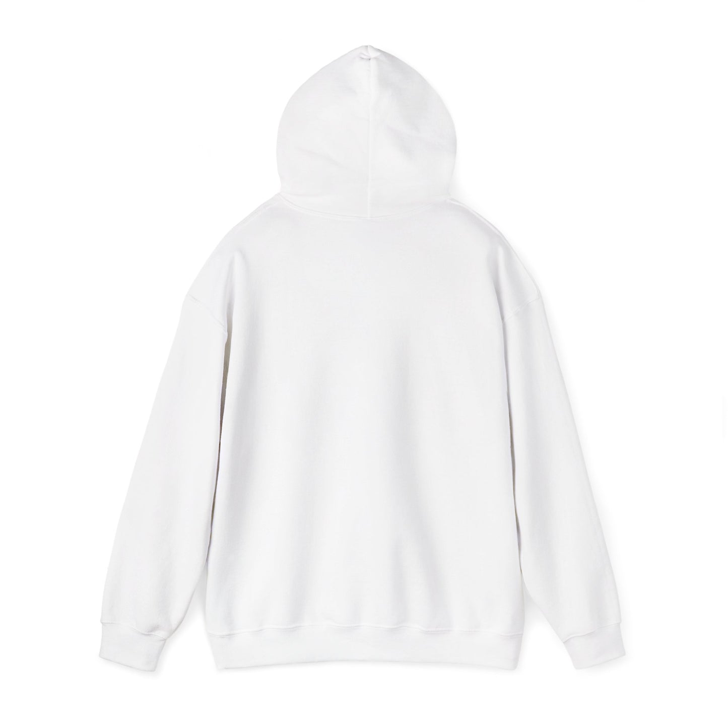 RC3 Hooded Sweatshirt