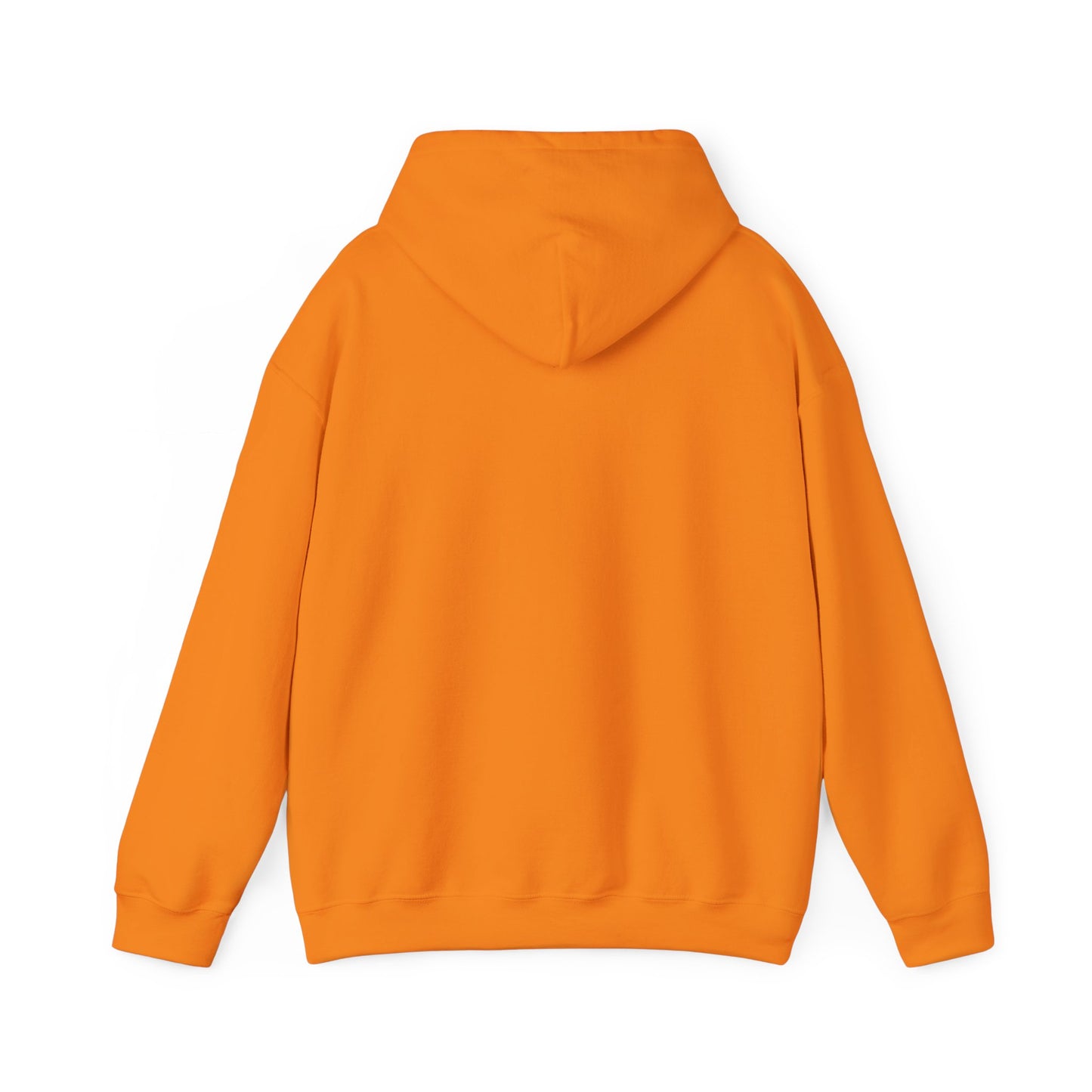 RC3 Hooded Sweatshirt