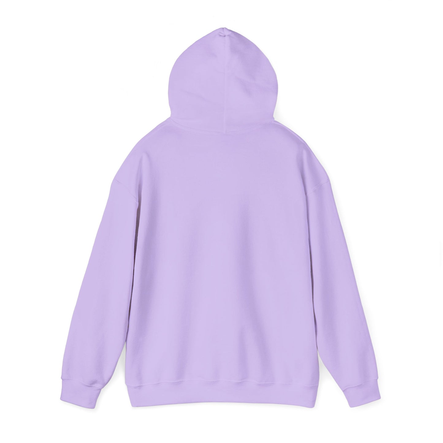 RC3 Hooded Sweatshirt