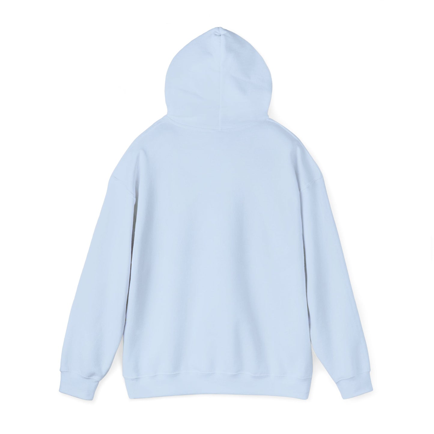 RC3 Hooded Sweatshirt