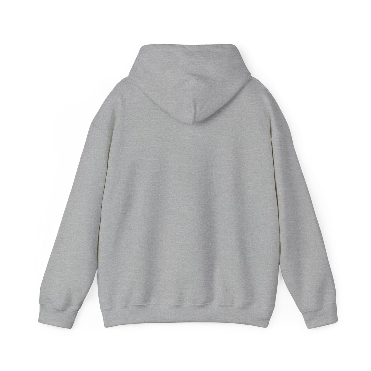 RC3 Hooded Sweatshirt