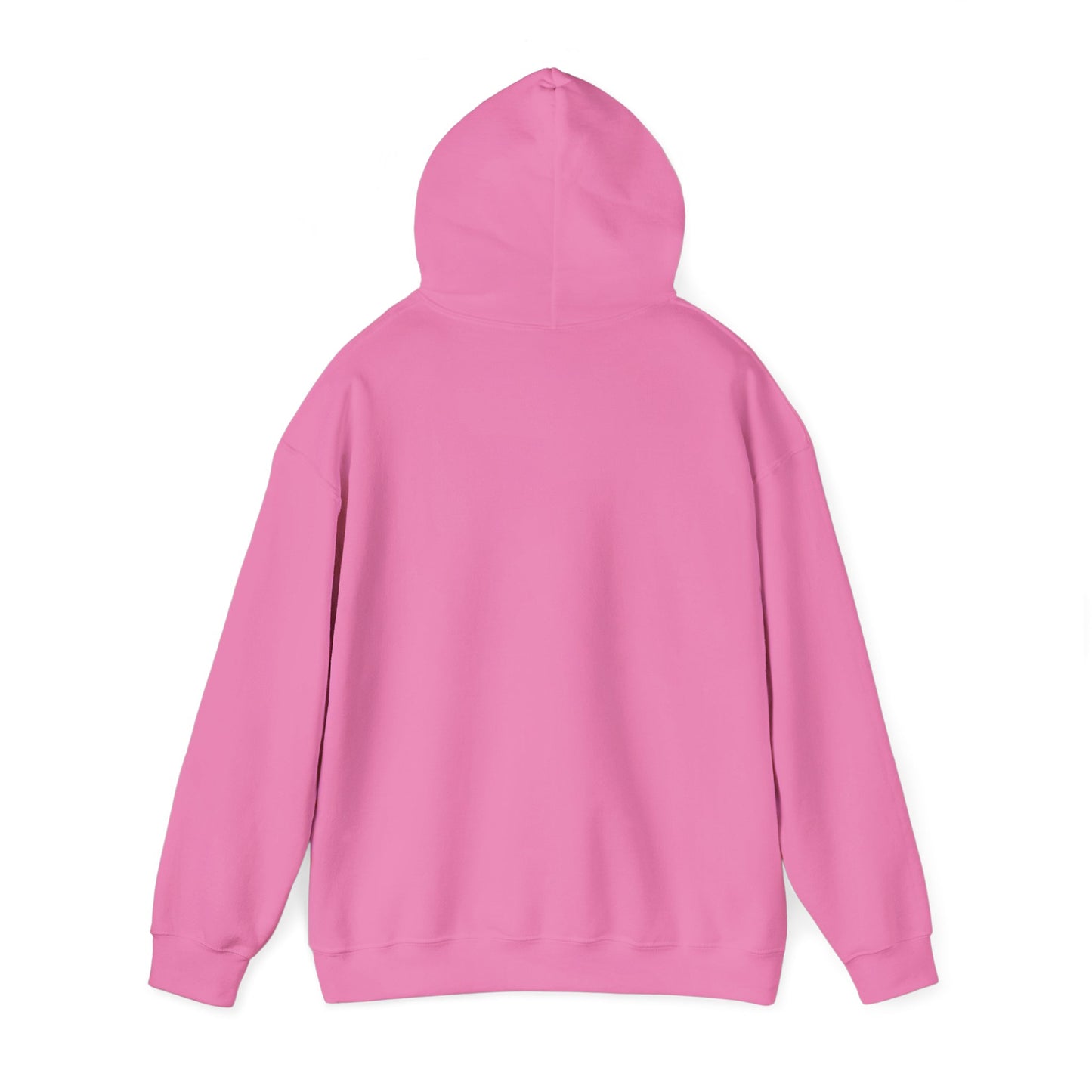 RC3 Hooded Sweatshirt