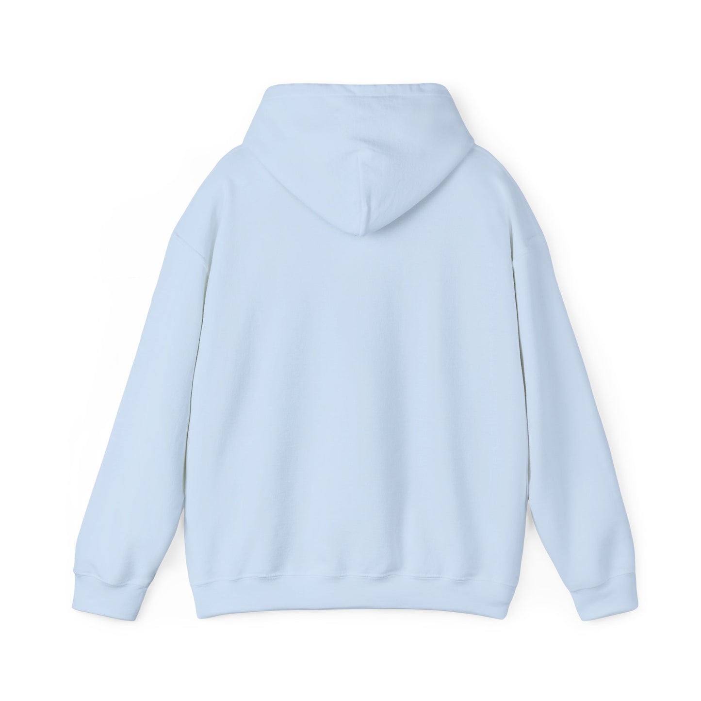 RC3 Hooded Sweatshirt