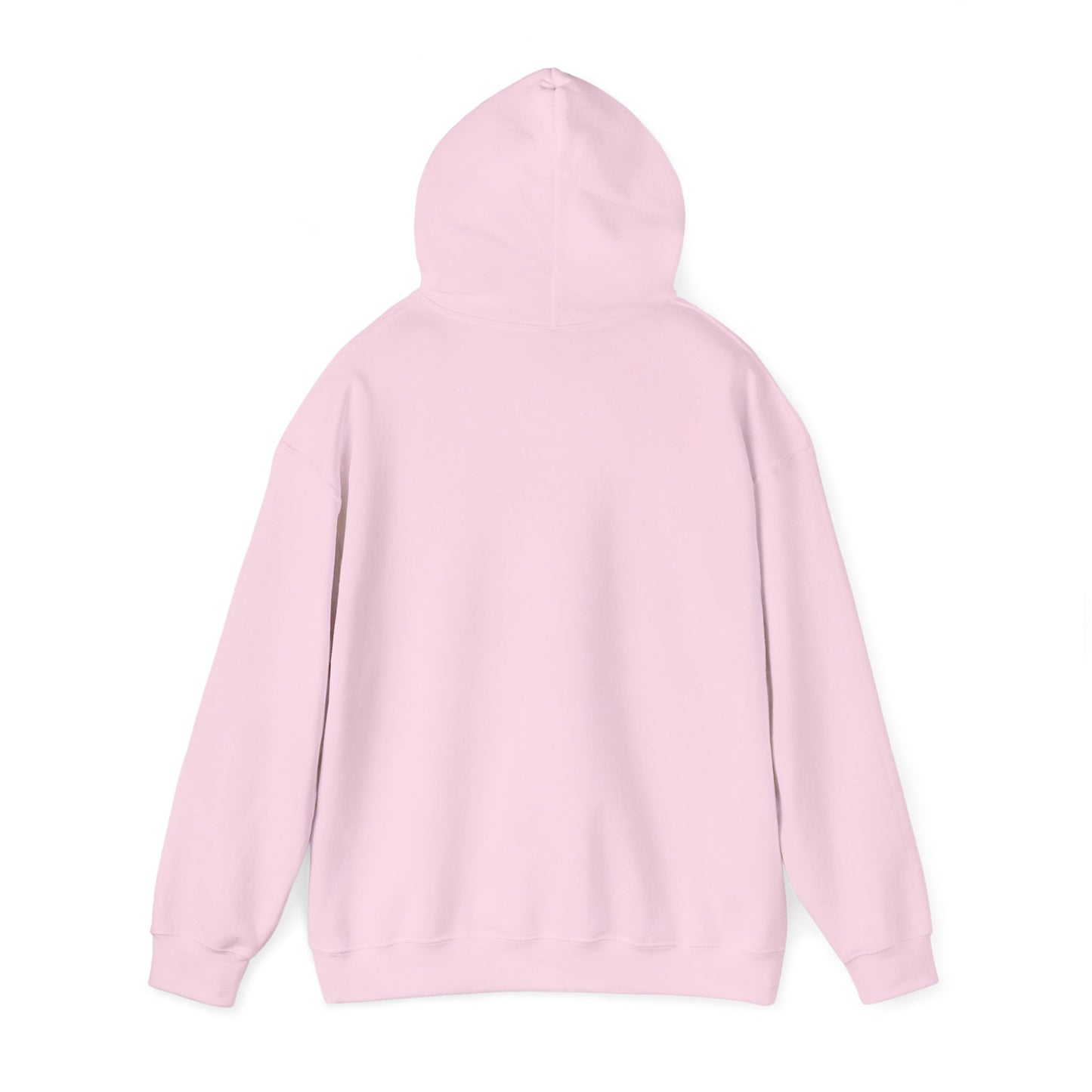 RC3 Hooded Sweatshirt