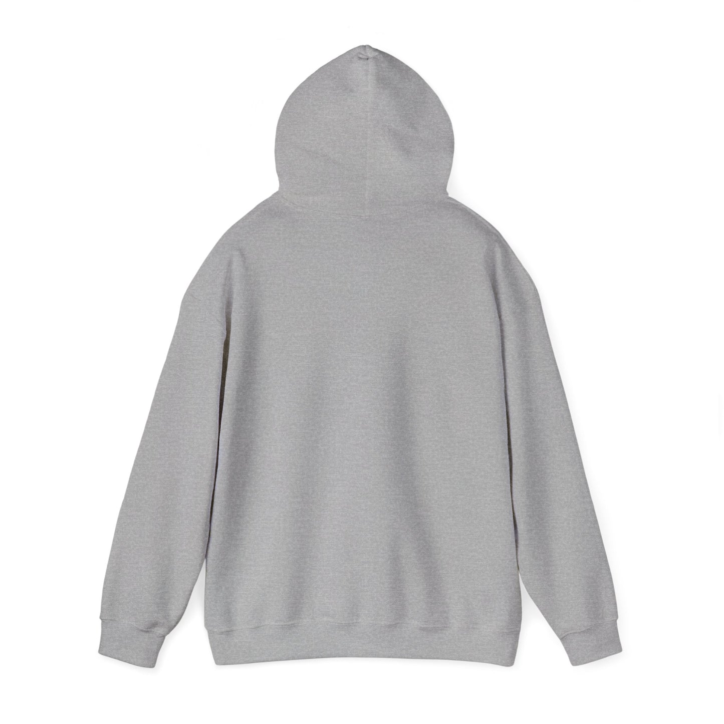 RC3 Hooded Sweatshirt