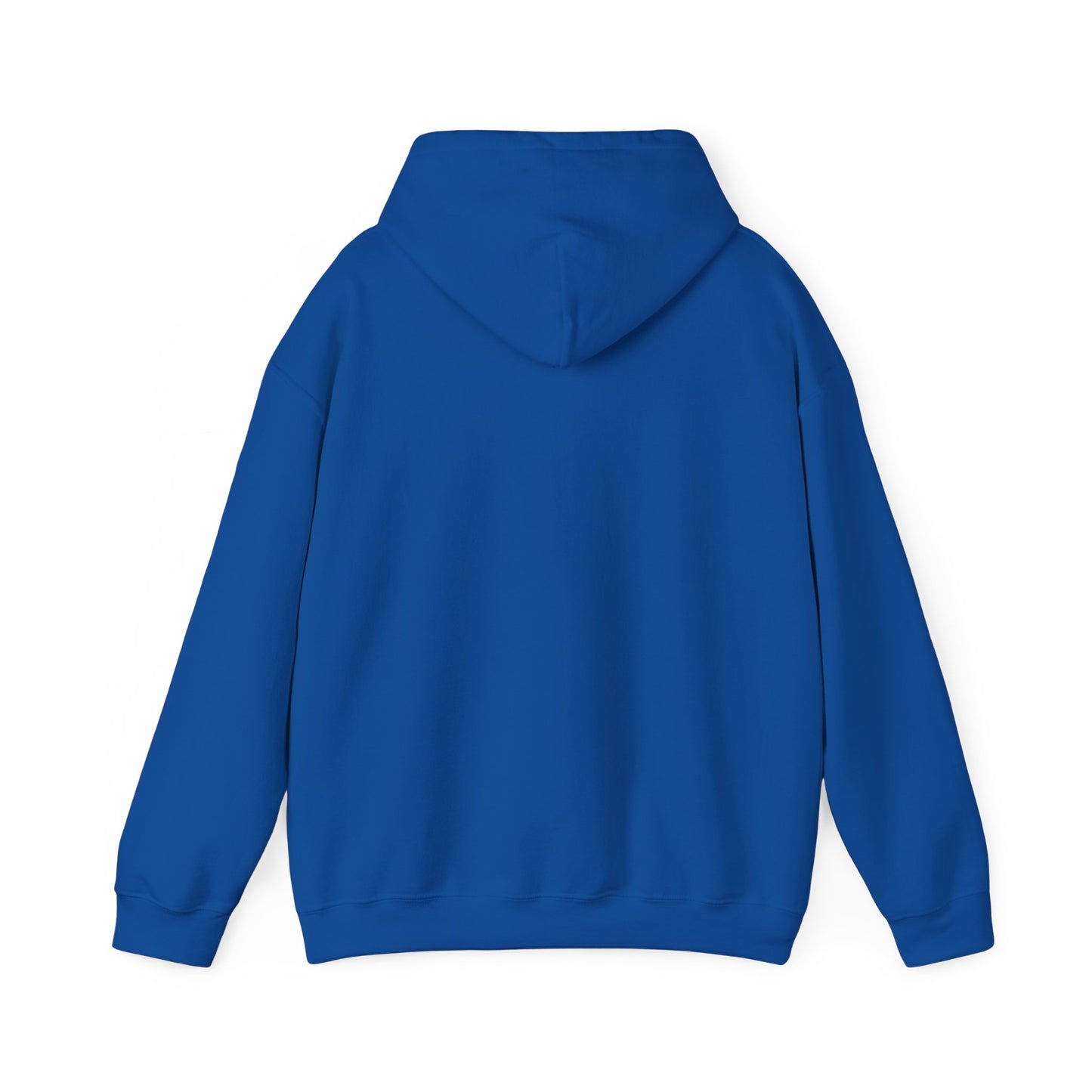 RC3 Hooded Sweatshirt