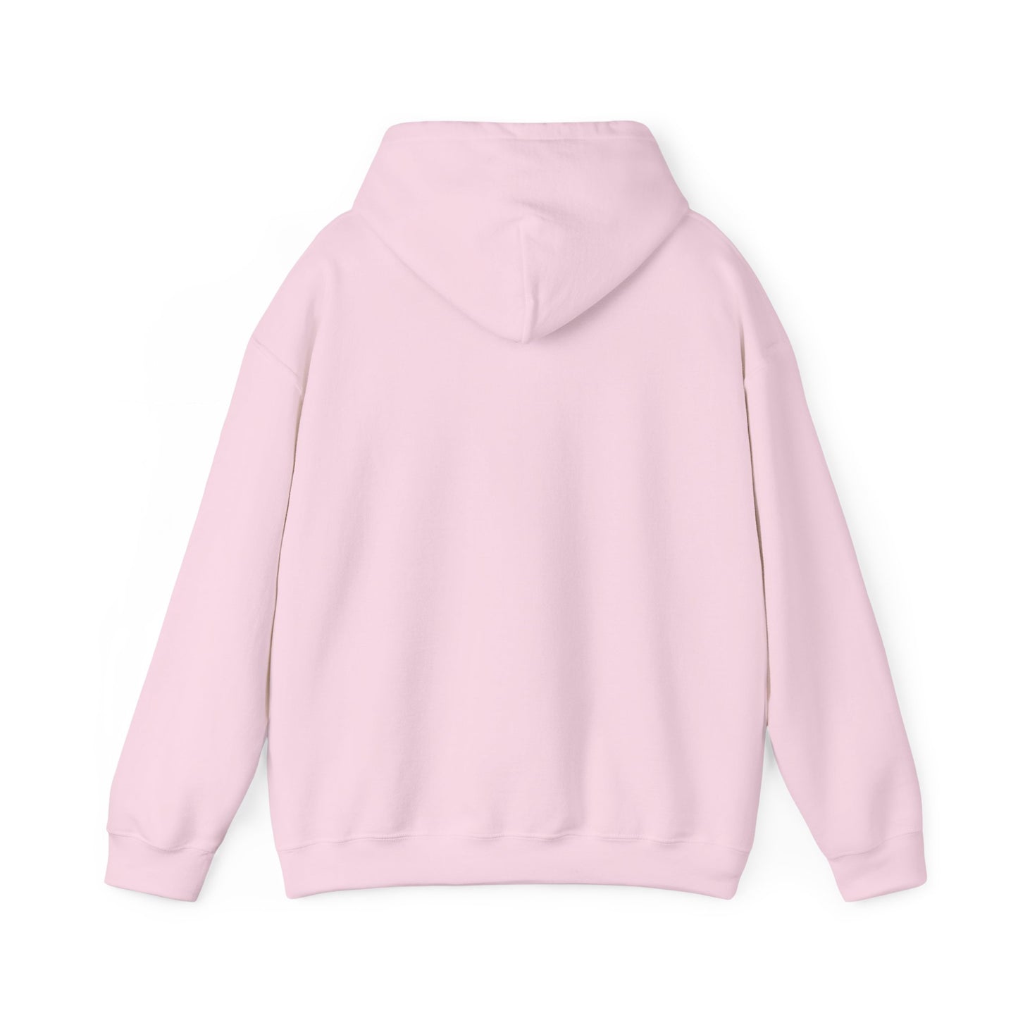 RC3 Hooded Sweatshirt