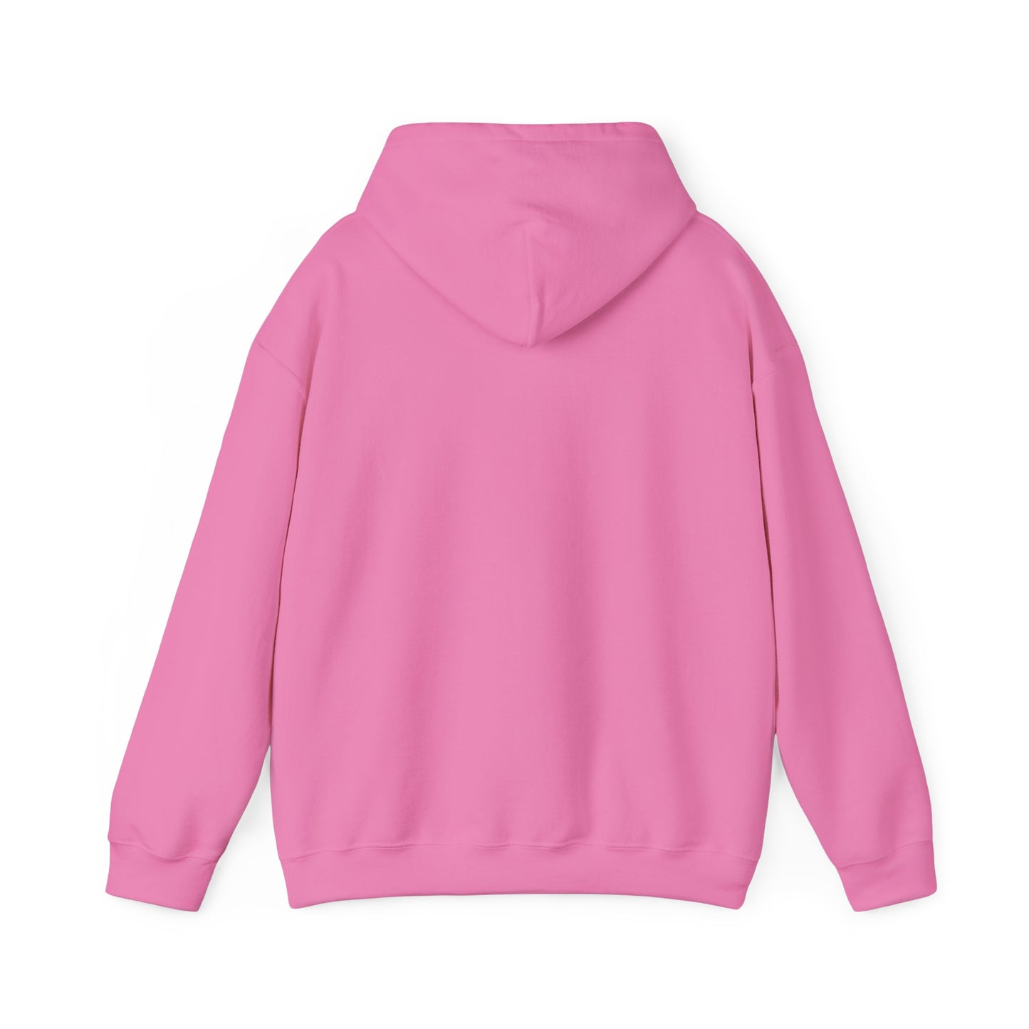 RC3 Hooded Sweatshirt
