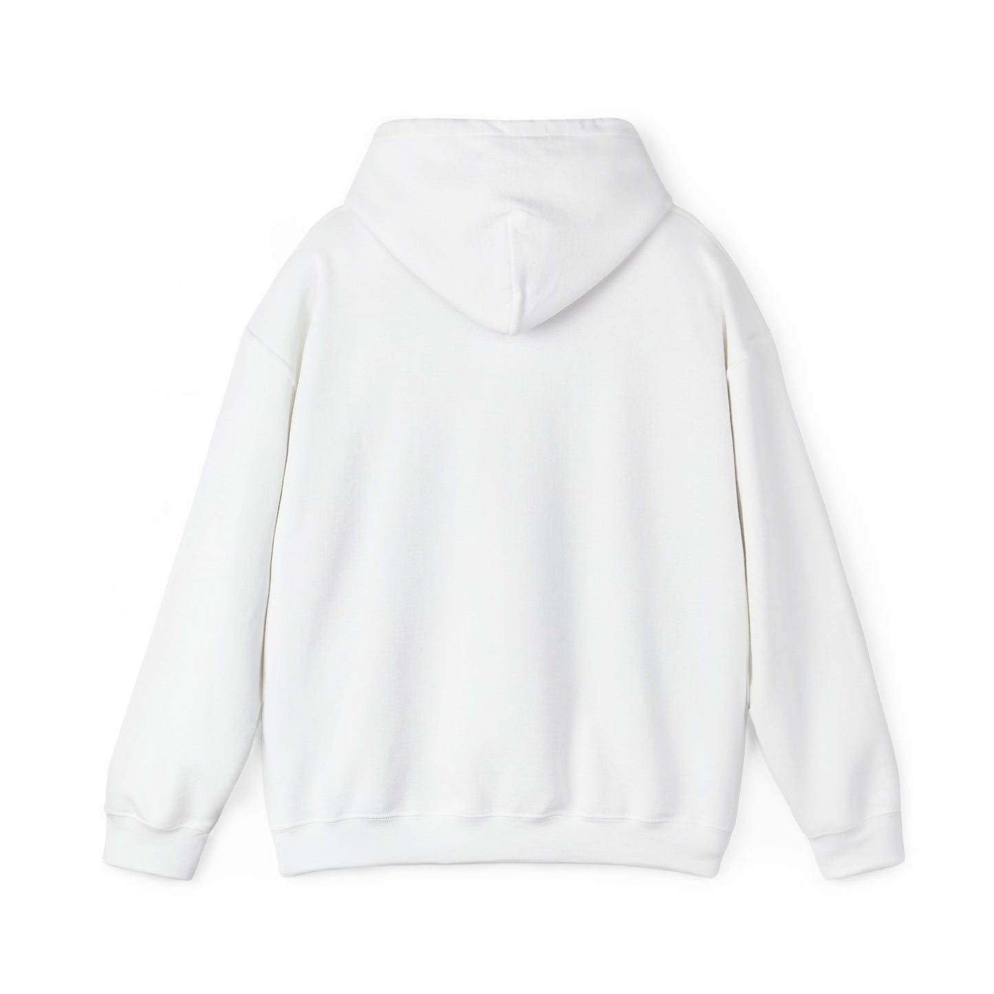 RC3 Hooded Sweatshirt