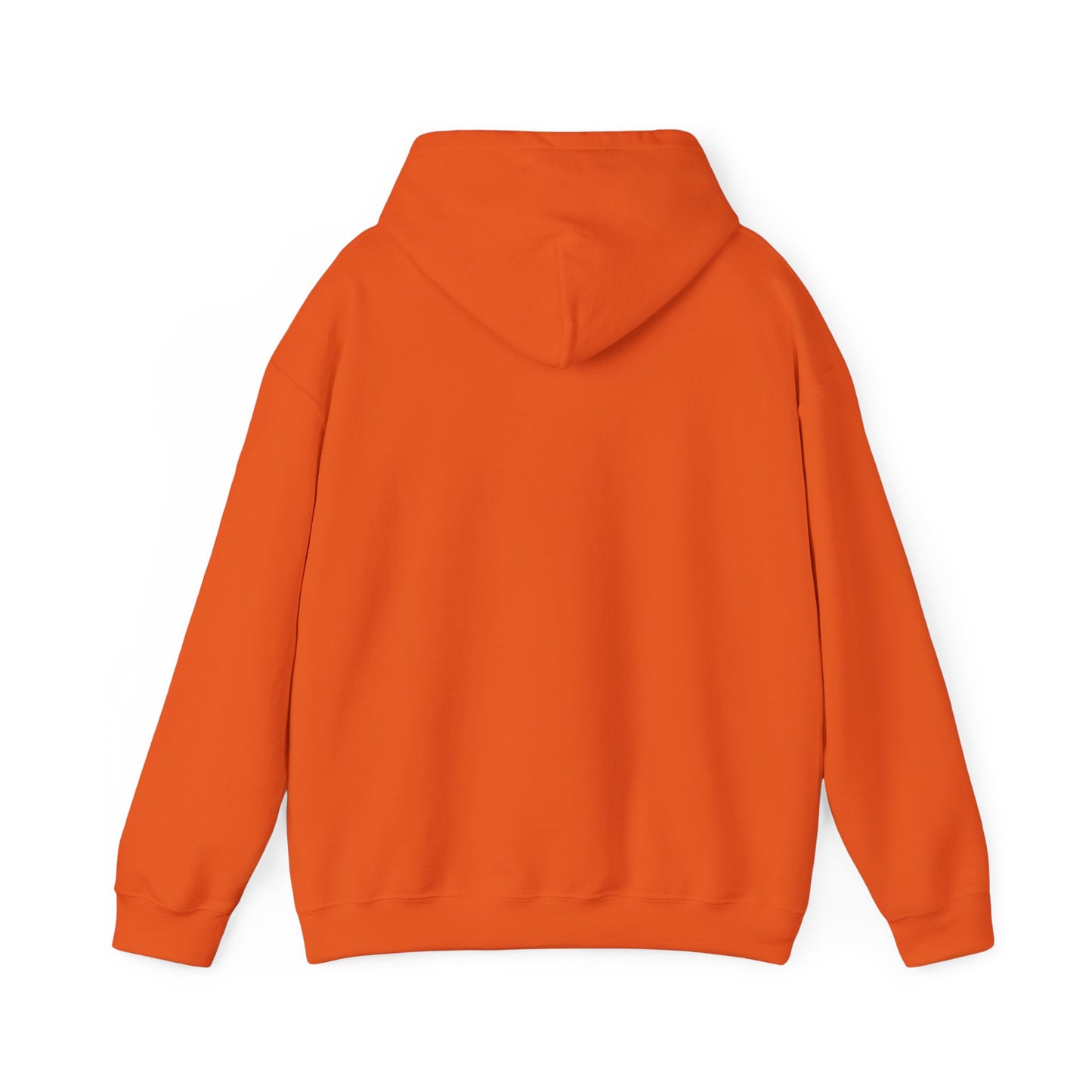 RC3 Hooded Sweatshirt