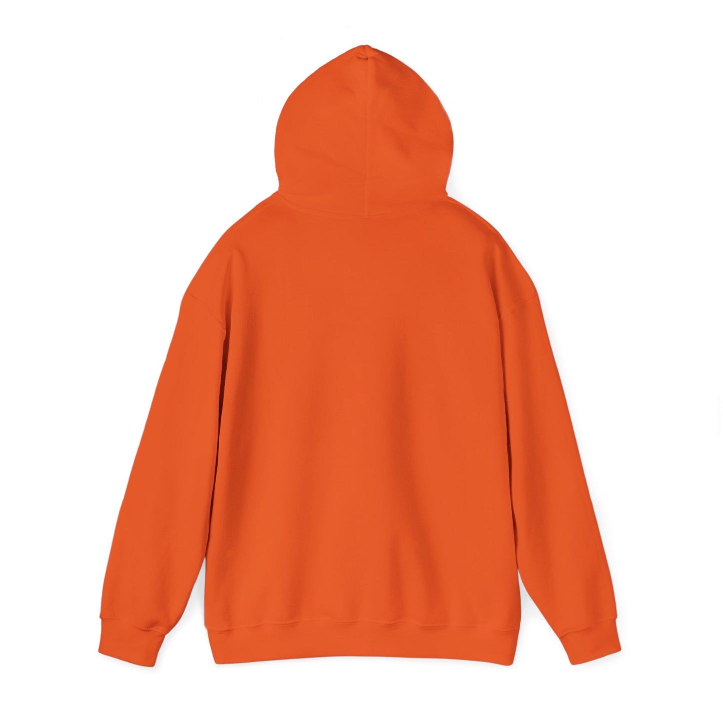 RC3 Hooded Sweatshirt