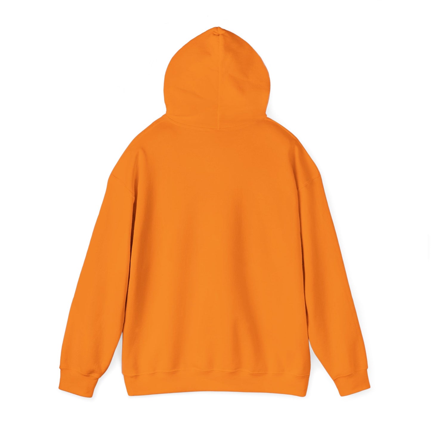 RC3 Hooded Sweatshirt