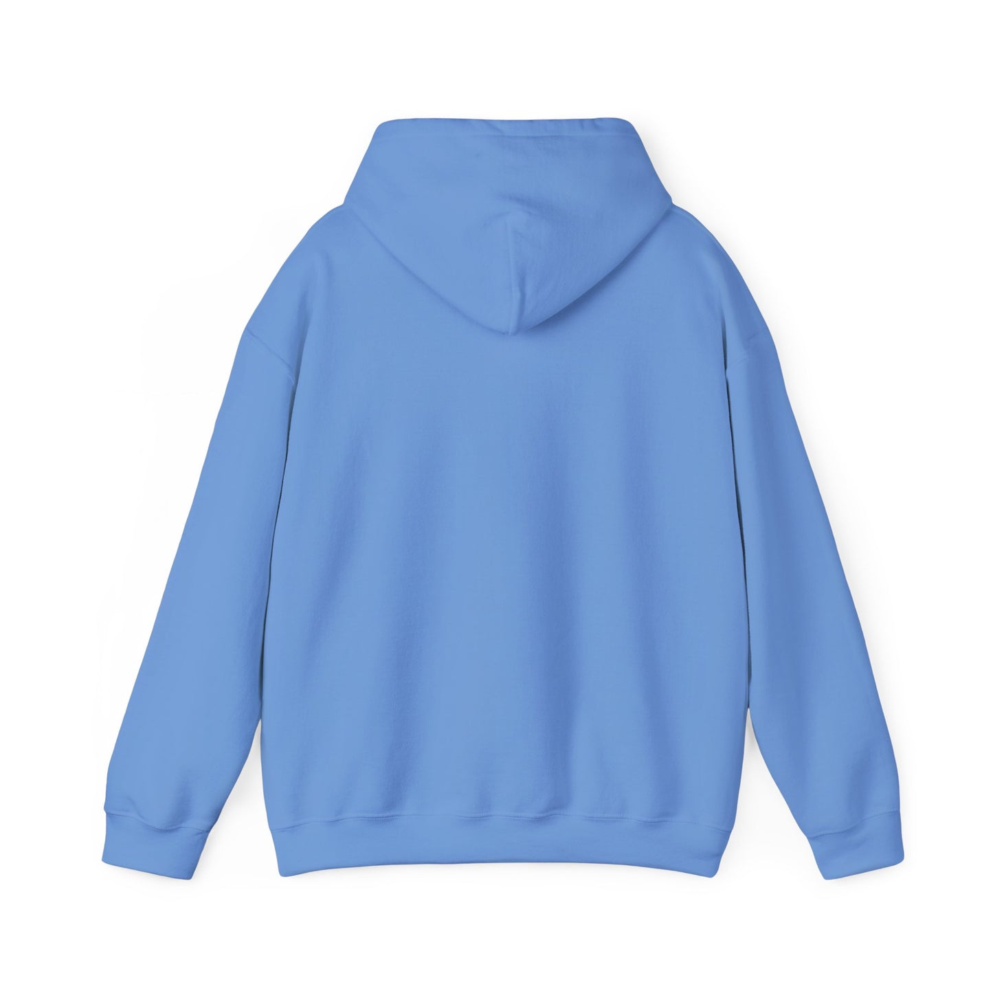 RC3 Hooded Sweatshirt